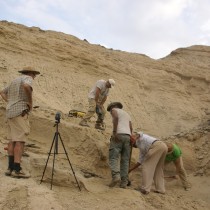 New field season at the Engel Ela-Ramud basin, Eritrea
