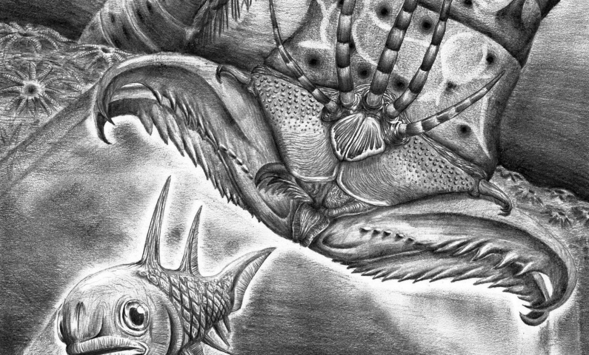 Artistic reconstruction showing W. armstrongi attacking a fish in the Devonian sea. Image credit: James Ormiston
