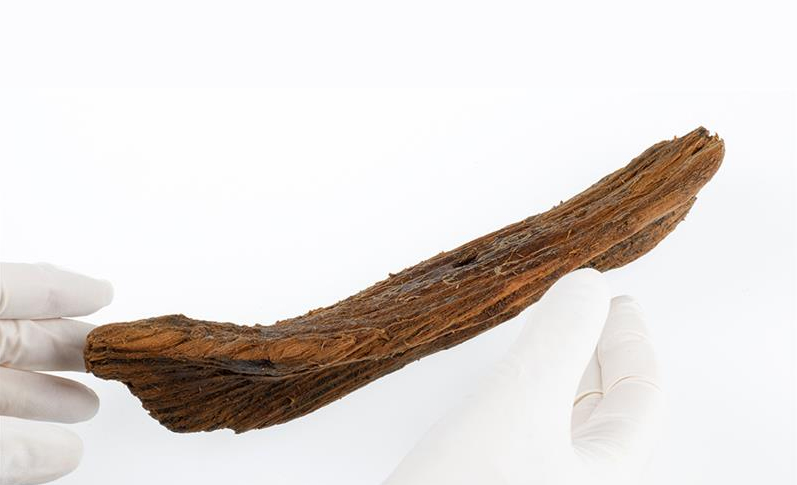 Some child likely played with this carved wooden boat a thousand years ago. It was found in an abandoned well during an extensive archaeological dig at the Ørland Main Air Station, on the coast west of Trondheim. Åge Hojem, NTNU University