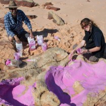 ‘Australia’s Jurassic Park’ the world’s most diverse