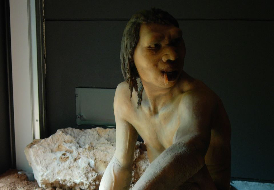 Model of a male Homo antecessor of Atapuerca mountains (Ibeas Museum, Burgos, Spain)