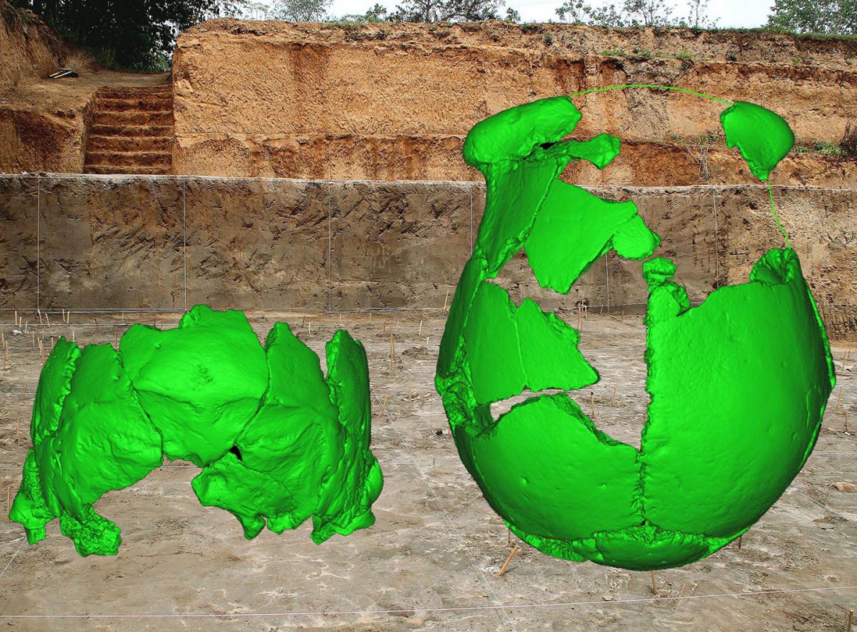 Virtual reconstructions of the Xuchang 1 and 2 human crania are superimposed on the archeological site where they were discovered.
Credit: Xiujie Wu