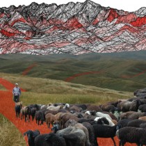 Silk Road evolved as ‘grass-routes’ movement