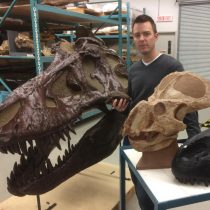Male or female? Scientist challenges evidence of sex differences among dinosaurs