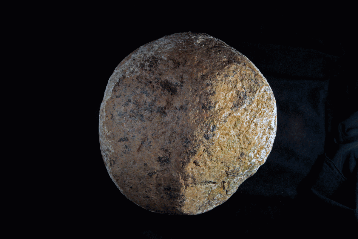A boulder discovered at the Cerutti Mastodon site thought to have been used by early humans as a hammerstone. Photo Credit Tom Deméré/San Diego Natural History Museum/New York Times.
