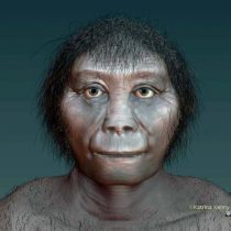 Origins of Indonesian hobbits finally revealed