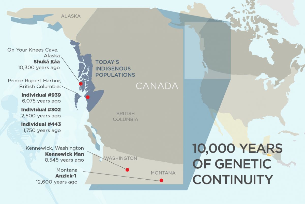 Researchers are analyzing DNA from ancient individuals found in southeast Alaska, coastal British Columbia, Washington state and Montana. A new genetic analysis of some of these human remains finds that many of today’s indigenous peoples living in the same regions are descendants of ancient individuals dating to at least 10,300 years ago.
Graphic by Julie McMahon