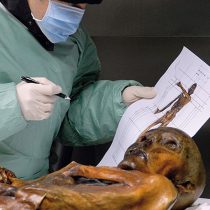 New analyses shows Ötzi froze to death