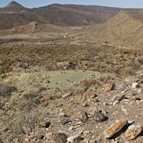 New indications of gradual decline of dinosaurs before the end of the Cretaceous Period