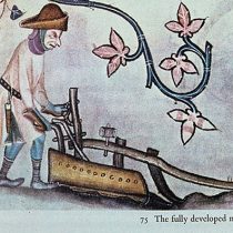 ‘Agricultural revolution’ in Anglo-Saxon England sheds new light on medieval land use