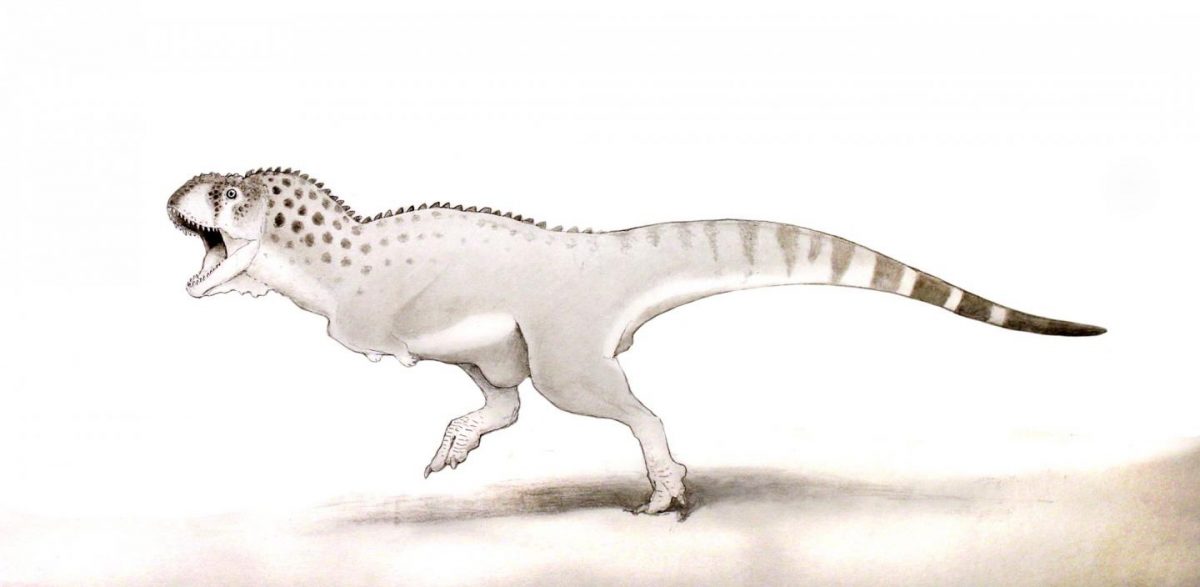 This is a Chenanisaurus barbaricus. Credit: Dr Nick Longrich, Milner Centre for Evolution, University of Bath