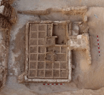 Ancient funerary garden discovered in Egyptian necropolis