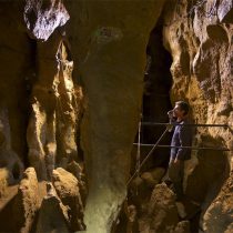 A new technique makes it possible to extract the DNA from hominids preserved in sediments