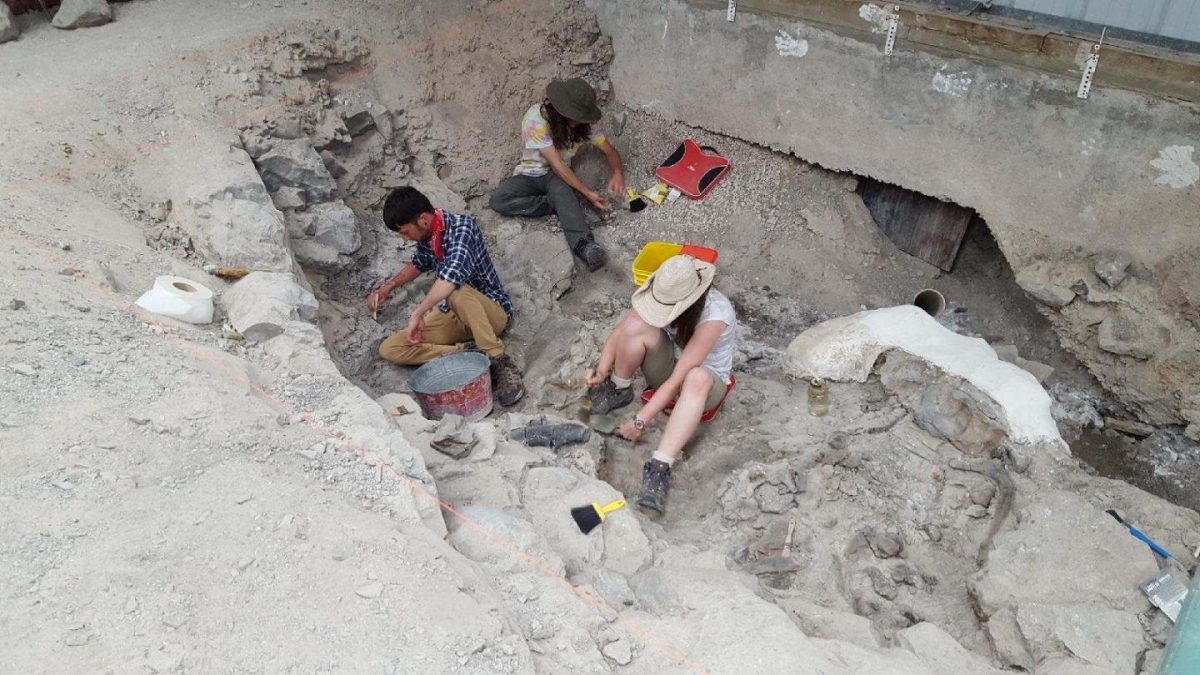 Indiana University of Pennsylvania students Josh Colastante, Alex Patch, and Heather Furlong excavate Allosaurus bones from the Cleveland-Lloyd Dinosaur Quarry.