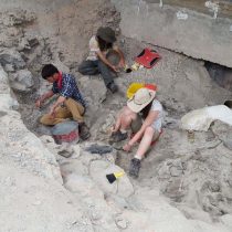 New data for old bones: How the famous Cleveland-Lloyd dinosaur bone bed came to be