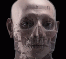 Egyptian dignitary’s mummified head and brain have been reconstructed