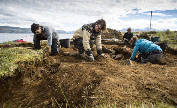 Archaeologists at work excavating the Dysnes site. Photo Credit: Auðunn/Iceland Magazine.