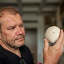 Drill holes in fossil shells point to bigger predators picking on small prey