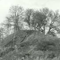 Archaeologists discover mound next to Slough car park is ‘prestigious’ Anglo-Saxon monument