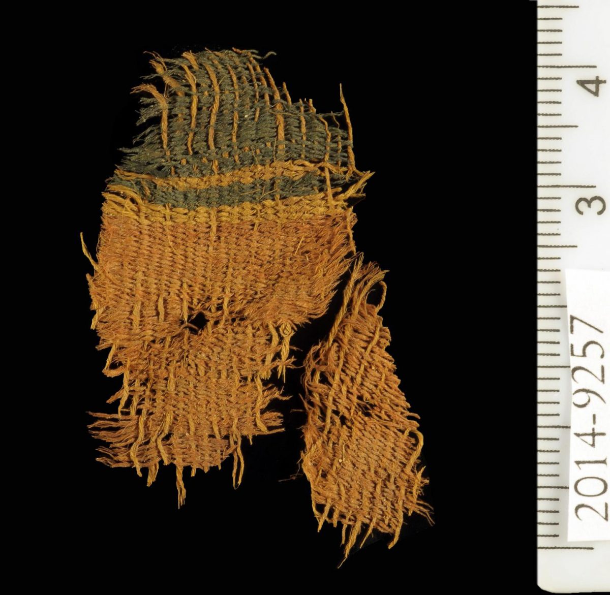 Dyed textile at Timna.
Credit: Clara Amit, courtesy of the Israeli Antiquities Authority.
