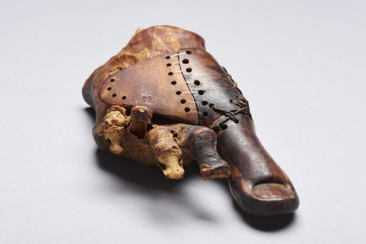 Toe prosthesis of a female burial from the Theban tomb TT95, early 1st millennium BC. Egyptian Museum Cairo, JE100016A. Credit: University of Basel, LHTT. Image: Matjaž Kačičnik