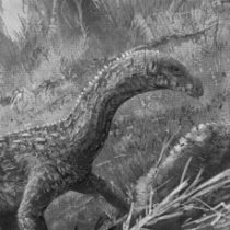 Paleobiologists make intriguing new discoveries about dinosaurs’ ancestors