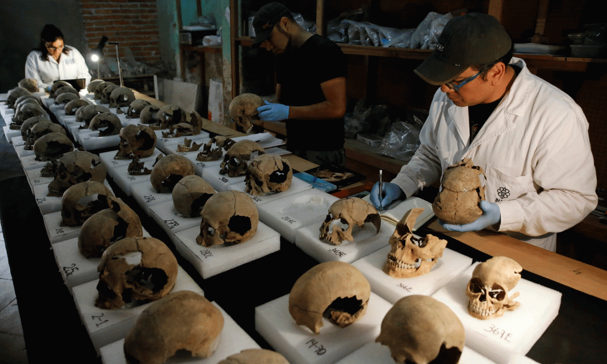Abel Guzman, Rodrigo Bolanos and Miriam Castaneda, biological anthropologists, examine skulls.
Photo Credit: Henry Romero/Reuters/The Guardian.