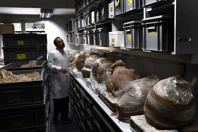 A photo taken on July 7, 2017 shows archaeological findings stored in a lab at the American School 
of Archaeology in Athens. Photo Credit: Aris Messinis/AFP/TANN.