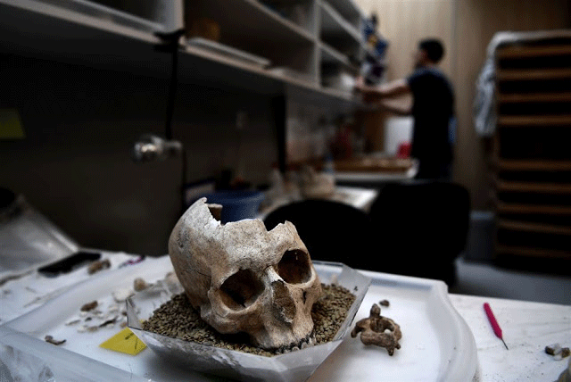 A photo taken on July 7, 2017 shows a human skull stored in a lab at the American School 
of Archaeology in Athens. Photo Credit: Aris Messinis/AFP/TANN.