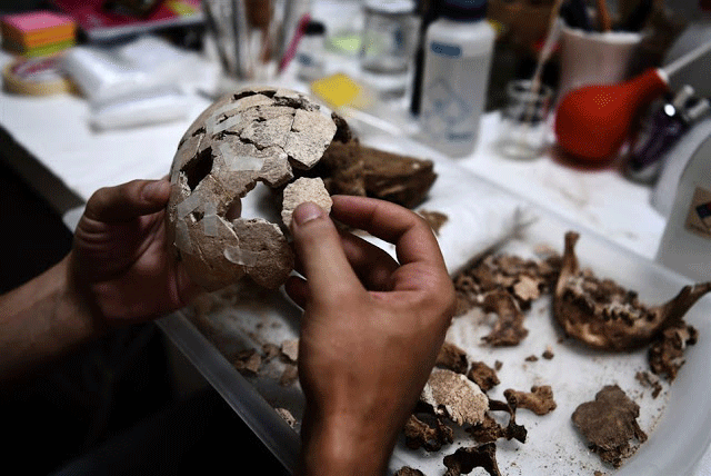 A conservator works on human bones in a lab at the American School 
of Archaeology in Athens on July 7, 2017. Photo Credit: Aris Messinis/AFP/TANN.