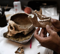 Archaeologists use forensics to decipher mass grave mystery