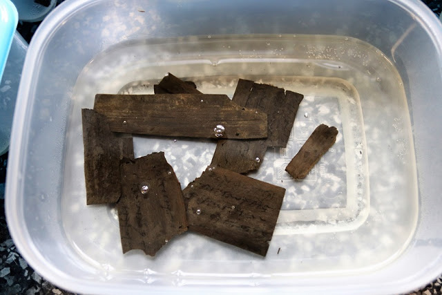 Tablets in the initial stage of conservation. Credit: The Vindolanda Trust