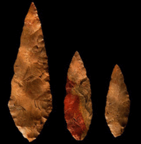 Cultural flexibility allowed early humans to survive dry periods in southern Africa
