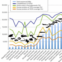 Evolutionary biologists decipher evolutionary relationships among vertebrates