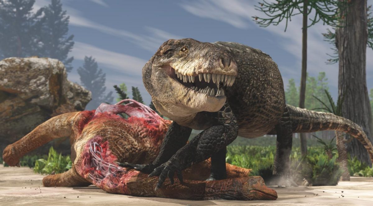 This is a paleoartistic restoration of Razanandrongobe Sakalavae scavenging on a Sauropod carcass in the Middle Jurarric of Madagascar. Unlike extant crocodilians, this terrestrial predator had a deep skull and walked on erect limbs. Credit: Fabio Manucci. 