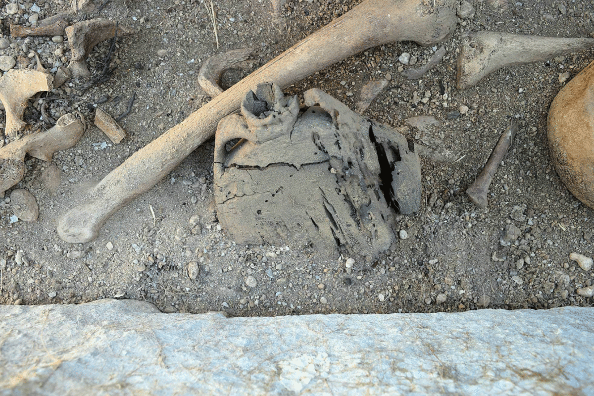 An urn that revealed the existence of the cemetery dating back more than 2,000 years. Photo Credit: EFE/El Pais.