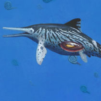Largest Ichthyosaurus was pregnant mother say palaeontologists