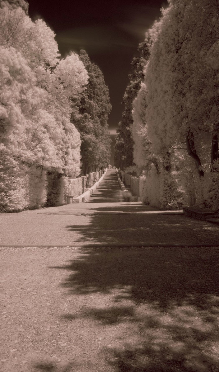Photograph by Sergio Garbari shown at the exhibition ‟Three little tales from Florence/ Tre piccole storie fiorentine” at the Archaeological Museum of Thessaloniki.