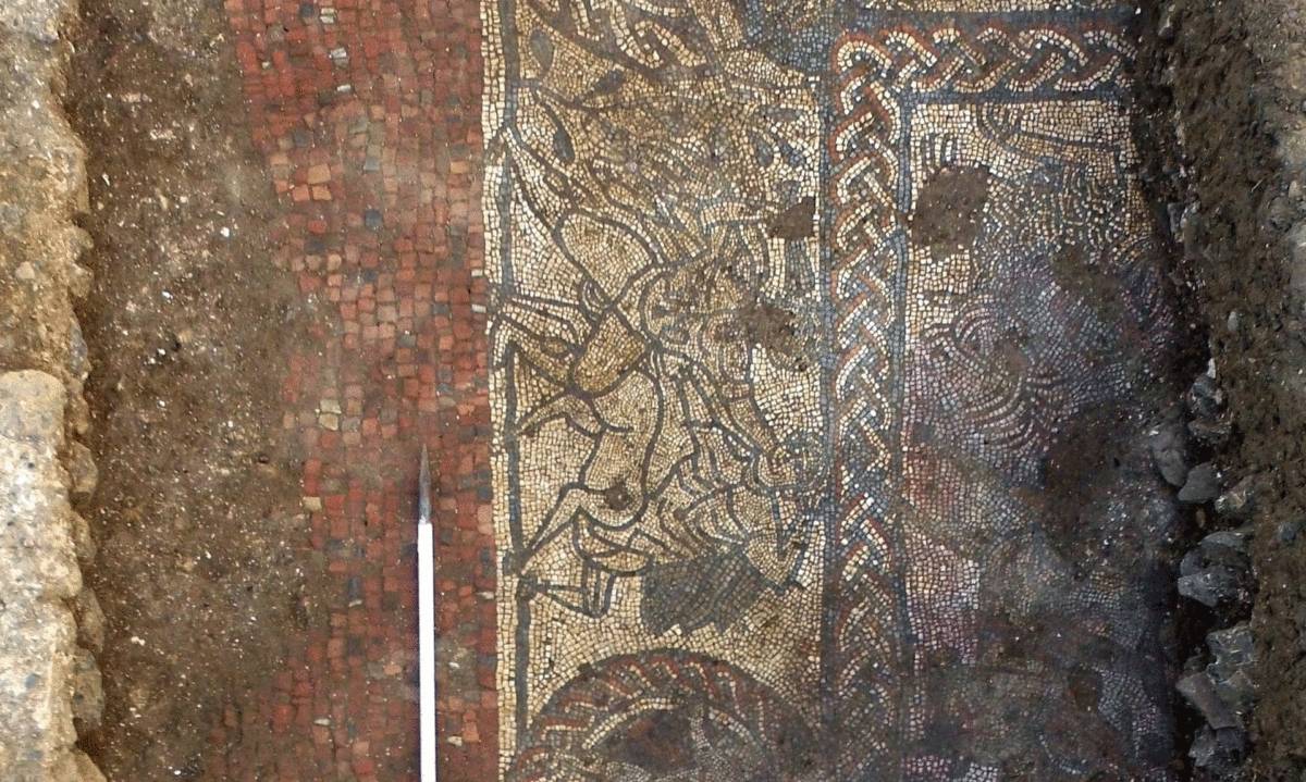 A section of the mosaic, found at a Roman site near Boxford in Berkshire. Photo Credit: The Guardian.