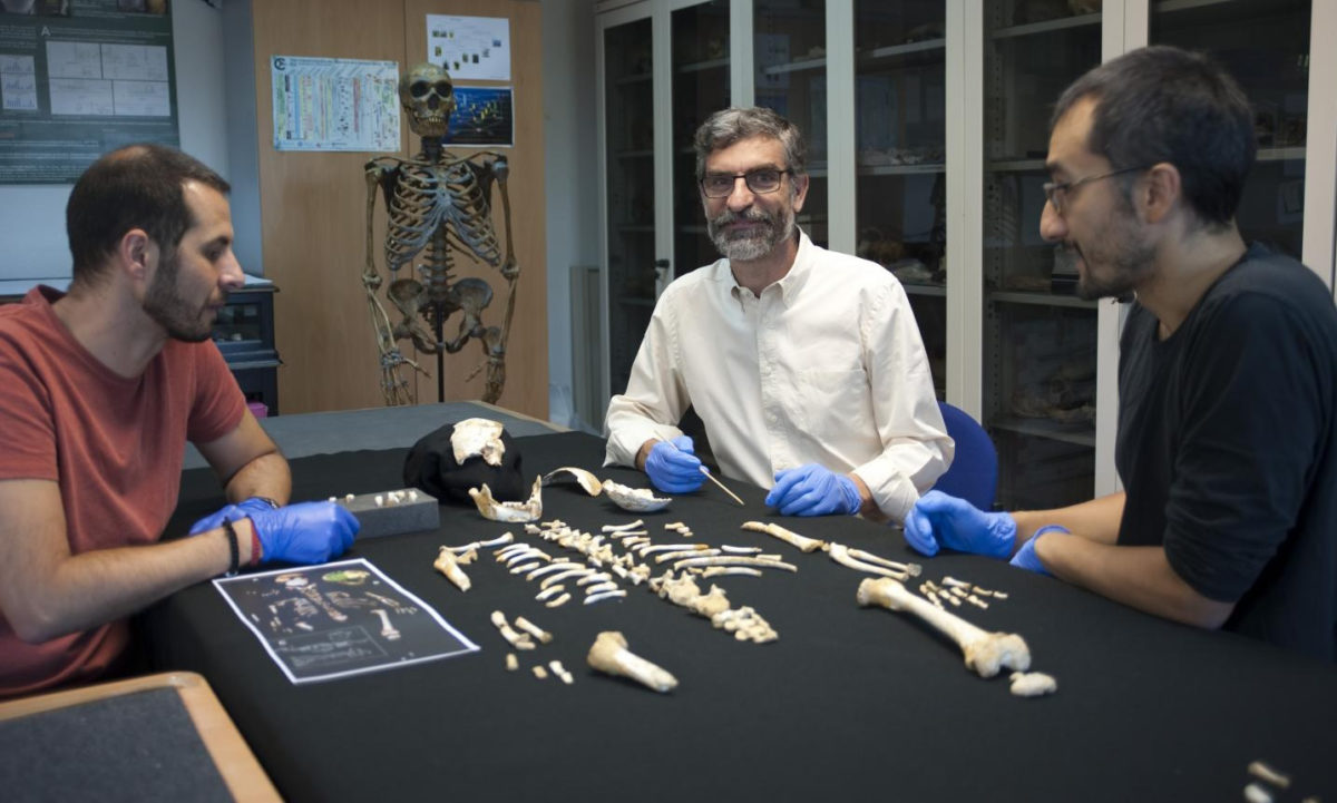 (Left to right) Antonio García-Tabernero, Antonio Rosas and Luis Ríos beside the Neanderthal child’s skeleton. Credit: ANDRÉS DÍAZ-CSIC COMMUNICATIONS DEPARTMENT