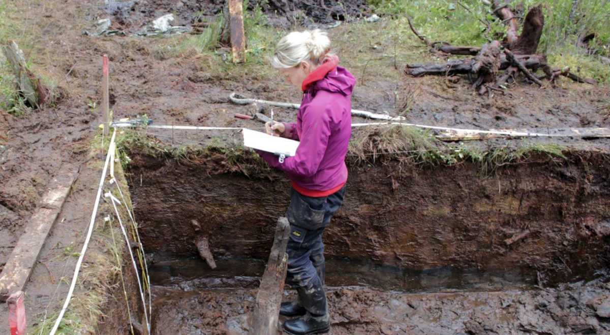 Satu Koivisto documenting the trench section at Savitaipale, South Eastern Finland. Credit: Juuso Koskinen