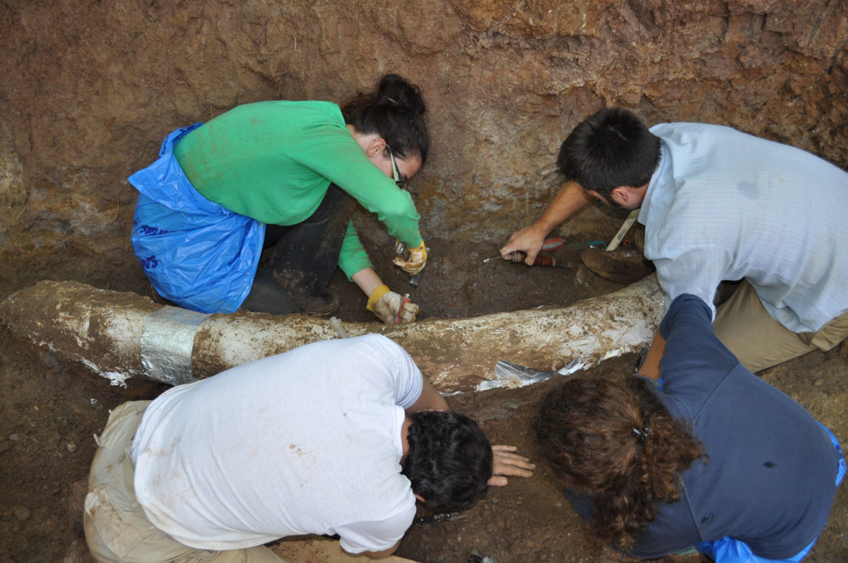 Excavation at Isioma in Karyes, next to the museum being erected (photo: G.Theodorou Archive /Athens and Macedonian News Agency).