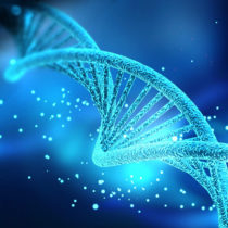 Genome-wide data from a 40,000-year-old man in China reveals complicated genetic history of Asia