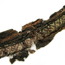 Viking Age script deciphered
