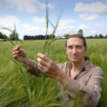 Crops evolving ten millennia before experts thought