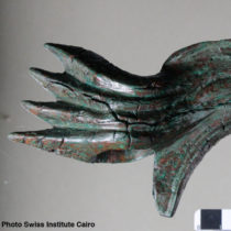 Two discoveries in Aswan