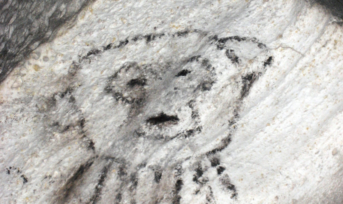 The paper presents the results of National Geographic funded fieldwork by an Anglo-Puerto Rican team, who uncovered extensive and undocumented rock art deep inside the islands labyrinthine cave systems. Image credit: Serge Aucoin