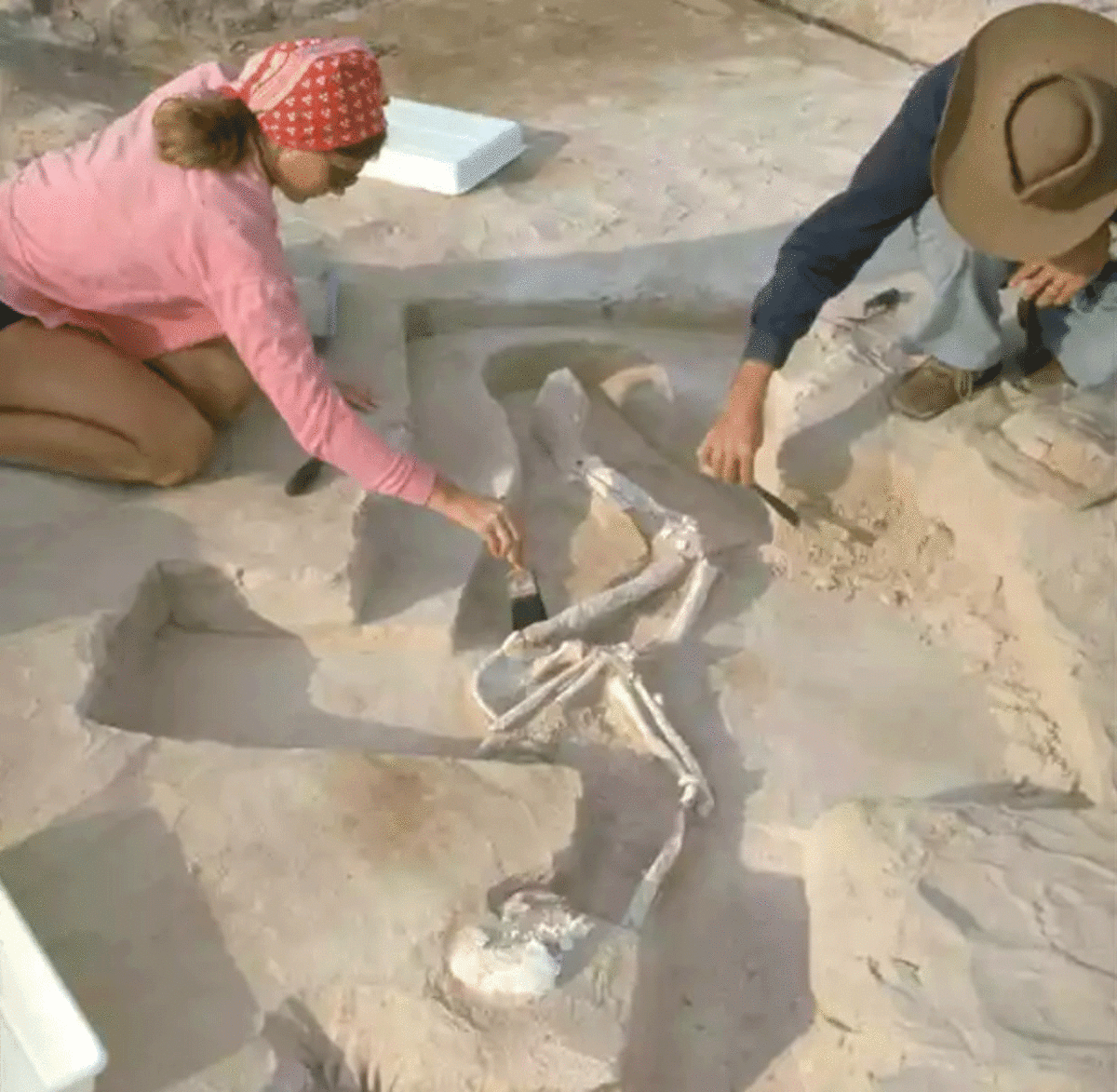  Mungo Man – the oldest Indigenous human remains on the Australian continent – was found in 1974. His remains are now being repatriated to Australia. Photo Credit: Jim Bowler/The Guardian.