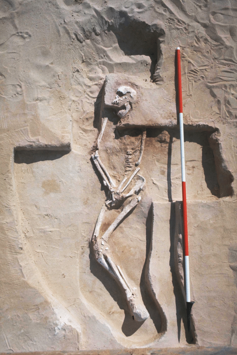 The 40,000-year-old remains of Mungo Man. Photo Credit: University of Melbourne/The Guardian.