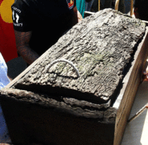 Australia’s oldest ancestor to be reburied on local ground
